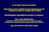 2006 ponencia 2: Juan José Badiola Diez