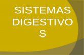 Sistemas digestivos