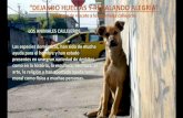 Proyecto de rescate de animales (problema social)