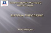 Sistema endocrino presentacion