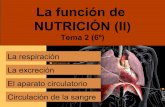 La Nutrición II