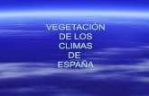 Vegetación según los climas. España