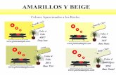 AMARILLOS Y BEIGE CARTILLA