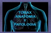 Patologia torax rsdiologia (2) (1) 1