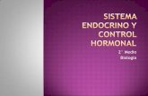 Sistema endocrino y control hormonal