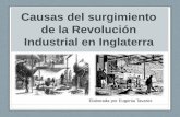 Causas del surgimiento de la Revolución Industrial en Inglaterra