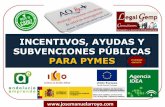 Repertorio de Incentivos, Ayudas y Subvenciones Públicas para PYMES.