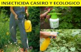 Insecticida caser y ecologico