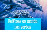 Delfines en acción: Los verbos