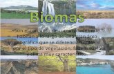 Biomas terrestres
