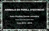 ANIMALS EN PERILL D'EXTINCIÓ