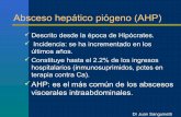 Absceso heptico-dr sanguinetti