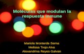 Moléculas que modulan la respuesta inmune