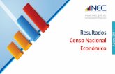 Resultados censo nacional economico
