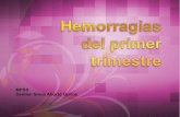 Hemorragias 1er trimestre