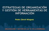 Estrategias de organización y gestión de herramientas de información en instituciones de educación postobligatorias