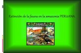 Extinción de la fauna en la amazonia peruana