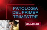 PATOLOGIAS 1er. TRIMESTRE: hiperemesis gravid. emb. ectop. y Enf. Trofoblasto