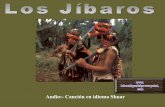 Los Jibaros