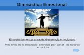 Presentació gimnàsia emocional jornades ub