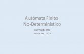 Presentación de NFDA de Automata