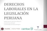 Derechos laborales en la legislación peruana. Andrés Salinas