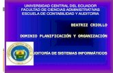 Dominio Planificacion y Organizacion Beatriz Criollo