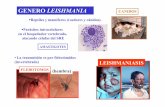 Leishmania 1