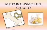 Metabolismo del calcio