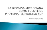 La biomasa como fuente de proteina