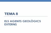 Tema 8 Els agents geològics externs