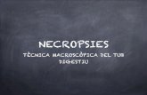 Necropsies. Macropatologia del tub digestiu.