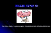 Brain gym adultos