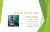 mi presentacion de proteccion ambiental