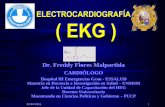 Freddy Flores Malpartida - Clase 1 de EKG