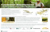 Ficha técnica de Carbono Biodiverso