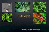 Los virus septimo grado unidad 6