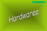Hardwarea- edurne eta oihana