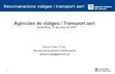 Agències de viatge i transport aeri  2010