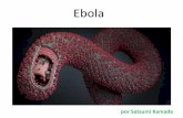 Ebola por Satsumi Kamada. Curso de capacitación.