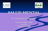 Clase Salud Mental En Chile