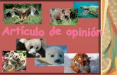 Artículo de opinión sobre animales en extinción.