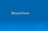 Bioquimica  1ALR