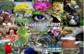 Tarea 1 biodiversidad
