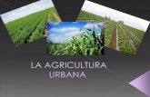 Agricultura urbana (1)