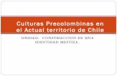 Pueblos precolombinos chilenos
