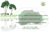 Casos exitosos de arborización en Lima - San Borja