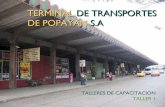 Terminal de transportes de popayan s