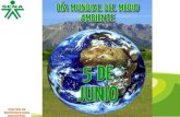 Dia mundial del_medio_ambiente
