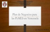 Plan Negocios PyMES Venezuela